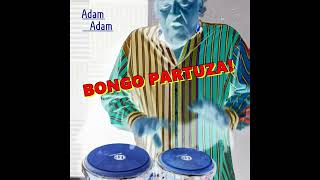 Bongo Partuza  Adam Adam  Official Audio [upl. by Aikemaj]