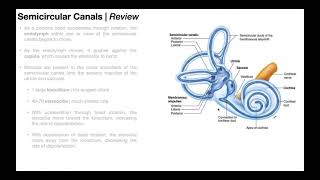 Benign Paroxysmal Positional Vertigo BPPV  Overview [upl. by Newsom]