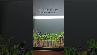 Transform Your Green Space with Adjustable LED Grow Lights [upl. by Rhea]