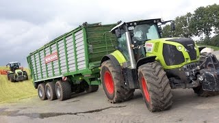 Lohnunternehmen Piening Teil 4  Maisernte mit Claas Jaguar 980 Maize harvest in Germany [upl. by Rukna885]