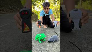 Remote control mouse 🐁 vs frog testing 🐸 [upl. by Letisha]