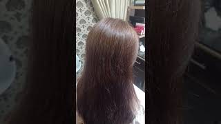 Brown hair transformation with gray hair coveragefashion hair dye without cutdownbrown hair dye [upl. by Neeloc]