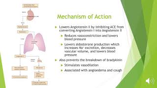 Ramipril For Hypertension [upl. by Attennek]