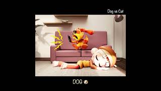 DOG vs CAT  POPPY PLAYTIME CHAPTER 3  GHS ANIMATION [upl. by Anidal796]