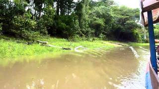 Lago Tarapoto Amazonas Colombia [upl. by Asusej124]