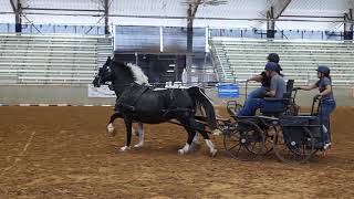 Ranch Ride Carriage Drive at the 2024 CHA International Conference [upl. by Volnak112]