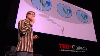 Can We Expand Our Consciousness with Neuroprosthetics Malcolm MacIver at TEDxCaltech [upl. by Lenz494]