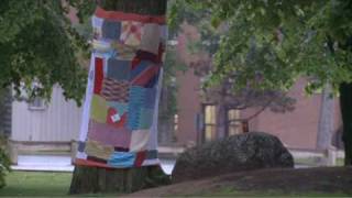 Public Tree Yarn Wrap [upl. by Annoed]