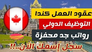 شركات كندية توظف الأجانب 🇨🇦 التوظيف الدولي هاجر الآن عن طريق عقد عمل مضمون 👌 سجل إسمك في الاستمارة [upl. by Thurstan]