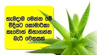 හැමදාම කෝමාරිකා කෑවොත් හිතාගන්න බැරි වෙනසක්  Health Benefits Of Aloe Vera Juice [upl. by Rokach]