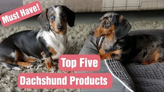 FIVE Things You Should Have Before Bringing Your DACHSHUND PUPPY Home [upl. by Naji]