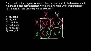 How Xlinked recessive genetics disorders are inherited [upl. by Donall]