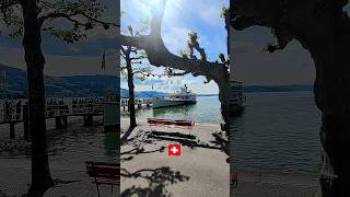 📍 Switzerland Rapperswil Jona 🇨🇭 switzerland amazing [upl. by Essirehs]