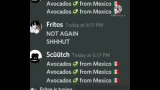 Avocados 🥑from Mexico 🇲🇽 discord meme [upl. by Patrice]