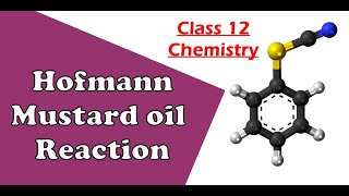 Hofmann Mustard Oil Reaction  Aniline  Phenyl isothiocyanate  Class 12  Chemistry  neet2025 [upl. by Anuaf835]