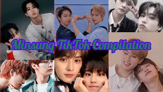 Minsung TikTok Compilation pt6 [upl. by Enined]