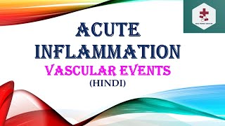 Acute inflammationVascular eventHaemodynamic ChangesAltered Vascular PermeabilityPathophysiology [upl. by Woodall]