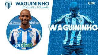 WAGUININHO  ATACANTEFORWARD  AVAÍ 2023 [upl. by Landa]