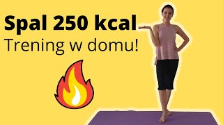 Ciche cardio bez skakania Dla początkujących Minus 250 kcal [upl. by Inahteb934]