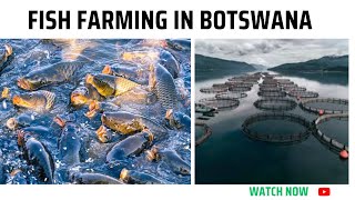 Fish Farming in BotswanaFisheries and Aquaculture [upl. by Ecinuahs764]