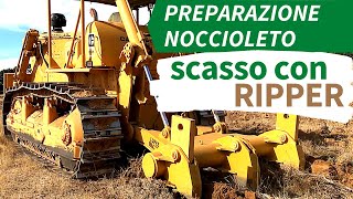 PREPARAZIONE NOCCIOLETO SCASSO CON RIPPER per favorire il drenaggio [upl. by Truda]