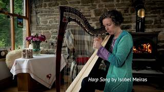 Teifi Siff Saff Harp  34 String Student Lever Harp [upl. by Harwill]