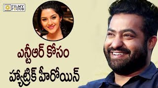 Mehrene Kaur Pirzada to Work with NTR in NTR28 Movie  NTR  Trivikram  FilmyFocuscom [upl. by Wallford101]