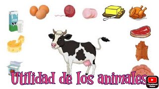 Alimentos Derivados de los Animales para niños [upl. by Searby]