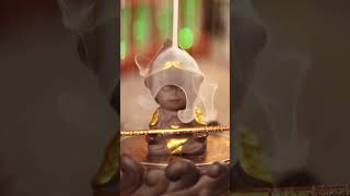 Backflow Incense meditation relaxing healing [upl. by Harlen]