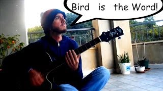 Surfin Bird  Hansel  Acoustic Cover [upl. by Dorran]