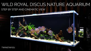 Wild ROYAL Discus Nature Aquarium of 200x60x70cm at Twinstar EU [upl. by Denae]