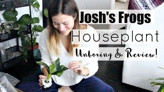 Tropical Houseplant Haul  Joshs Frogs Houseplant Haul [upl. by Jordain]