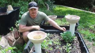 How to make a Worm Compost Tube [upl. by Elacim]