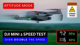 DJI Mini 2 Speed Test Over DOUBLE the Speed Limit😱 [upl. by Regor413]