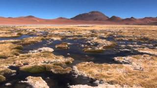 Volcan Licancabur Salar Pujsa Chile [upl. by Nan]