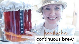 The EASIEST method for brewing KOMBUCHA at home  kombucha made easy  continuous brew on a budget [upl. by Oicnedurp]