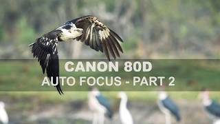 Canon 80D  Auto Focus  Part 2 [upl. by Sieber]