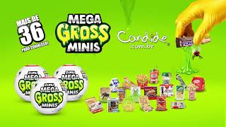 5 Surprise Mega Gross  Candide Brinquedos [upl. by Leunad]