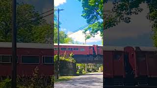 Delaware River Railroad excursions crossing the River road bridge at Alpha NJ shorts short train [upl. by Freeland]