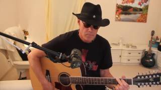 Udo LindenbergCover Durch die schweren Zeiten [upl. by Danita]