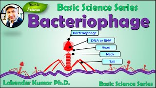 Bacteriophage Introduction  nanobiomachines  Basic Science Series [upl. by Azaria]