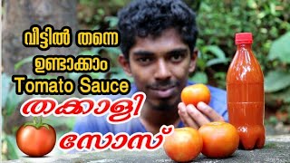 തക്കാളി സോസ് വീട്ടിൽ തന്നെ ഉണ്ടാക്കാം  Home Made Tomato sauce 🍅 [upl. by Carlyle]