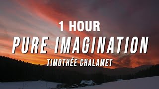 1 HOUR Timothée Chalamet  Pure Imagination Lyrics from Wonka [upl. by Esaj932]