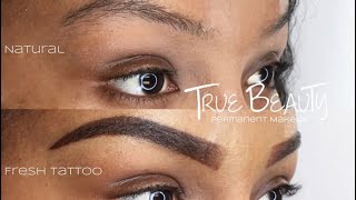 OMBRE BROW TATTOO UPDATE Permanent Eyebrows [upl. by Aikemal]