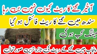 Punjab sugarcane rate 2024 Final  sugar mill rate gany ka new rate 2024  Sind Punjab gany ka rate [upl. by Itsud]