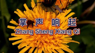 Zhang Sheng Xiang Qi  掌声响起  Lagu Mandarin Terjemahan [upl. by Anirahtak]