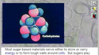 Biochemistry Chemistry of Carbohydrates and Lipids Part 1 [upl. by Fita799]