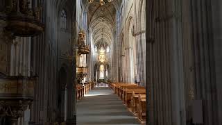 Uppsala Cathedral Uppsala domkyrka Sweden [upl. by Gathers]