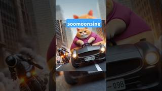 Fatty Kitten Gets the BEST DriveThru Dessert [upl. by Leonelle]