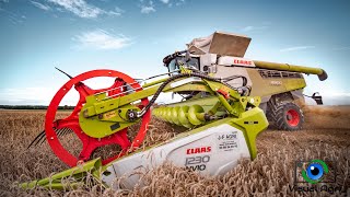 NEW Claas Lexion 8900  Un monstre pour la moisson de blé [upl. by Aneehsar]